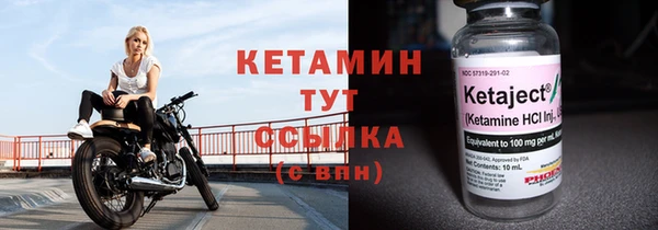 сатива Балахна