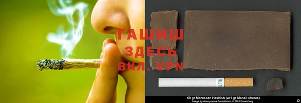 сатива Балахна