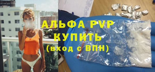 сатива Балахна