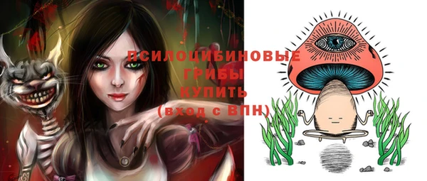 сатива Балахна