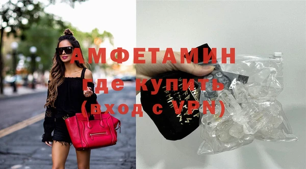 сатива Балахна