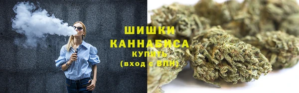 сатива Балахна