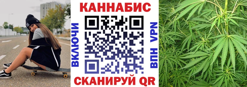 KRAKEN как войти  Свирск  Шишки марихуана индика 